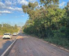 Iluminação rodoviária na PRC-272