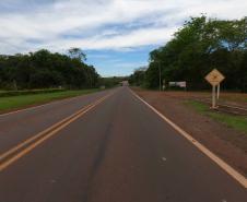 PR-495 em Pato Bragado