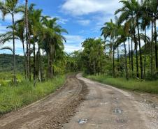  DER/PR contrata estudos ambientais e anteprojeto da pavimentação da Estrada de Guaraqueçaba 
