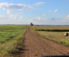 Janiópolis e o Estado vão pavimentar estrada e construir nova ponte