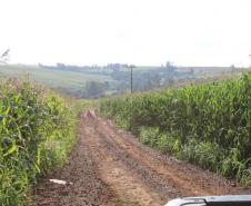 Janiópolis e o Estado vão pavimentar estrada e construir nova ponte
