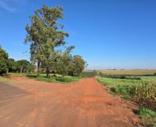 Município de Francisco Alves e o Estado vão pavimentar estrada e construir duas pontes