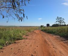Município de Francisco Alves e o Estado vão pavimentar estrada e construir duas pontes