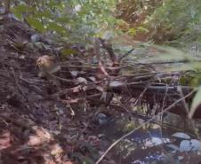 Floraí e Estado vão construir nova ponte para ligar estradas municipais na área rural