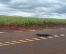 Estado realiza melhorias em três rodovias de Bandeirantes e Itambaracá