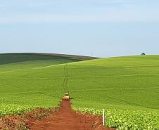 DER/PR começa serviços iniciais do novo contorno de Pato Branco, na região Sudoeste