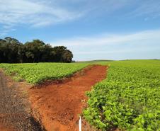DER/PR começa serviços iniciais do novo contorno de Pato Branco, na região Sudoeste