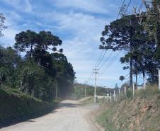 Estado e Mallet vão pavimentar quatro vias municipais com aporte de R$ 12,3 milhões