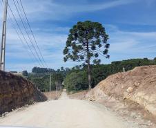 Estado e Mallet vão pavimentar quatro vias municipais com aporte de R$ 12,3 milhões