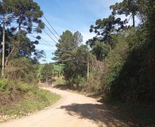 Estado e Mallet vão pavimentar quatro vias municipais com aporte de R$ 12,3 milhões