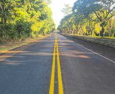 DER/PR promove obras de conservação do pavimento da PR-317 em Santa Helena