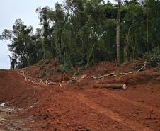 Obra de concreto em rodovias entre Nova Tebas e Pitanga avança em terraplenagem
