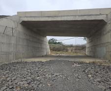 Obra de pavimentação da PR-364 em Irati é retomada após conclusão de estudo sobre fósseis