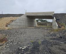 Obra de pavimentação da PR-364 em Irati é retomada após conclusão de estudo sobre fósseis