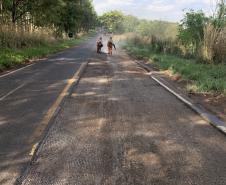 PR-340 tem sistema pare-e-siga no trecho entre Guaraci e Centenário do Sul