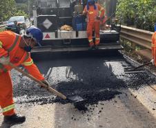 Serviços de conservação na PR-092 entre Rio Branco do Sul e Cerro Azul