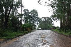 Estado assina ordem de serviço para pavimentação entre Imbaú e Reserva, nos Campos Gerais Foto: DER