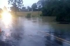 Rodovia entre Irati e Inácio Martins é bloqueada após rio transbordar Foto: DER-PR