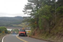 PR-170 Pinhão poda de árvores