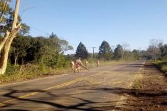  A conservação de faixa 