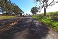 Rodovia Estadual