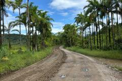  DER/PR contrata estudos ambientais e anteprojeto da pavimentação da Estrada de Guaraqueçaba 