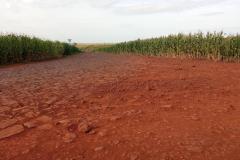 DER/PR doa 21 mil m² de pedras poliédricas a Cafelândia para melhoria de estradas rurais