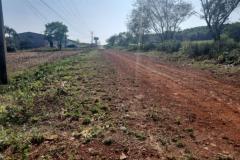 Estado e São Miguel do Iguaçu vão pavimentar marginal e novo acesso à BR-277