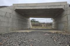 Obra de pavimentação da PR-364 em Irati é retomada após conclusão de estudo sobre fósseis