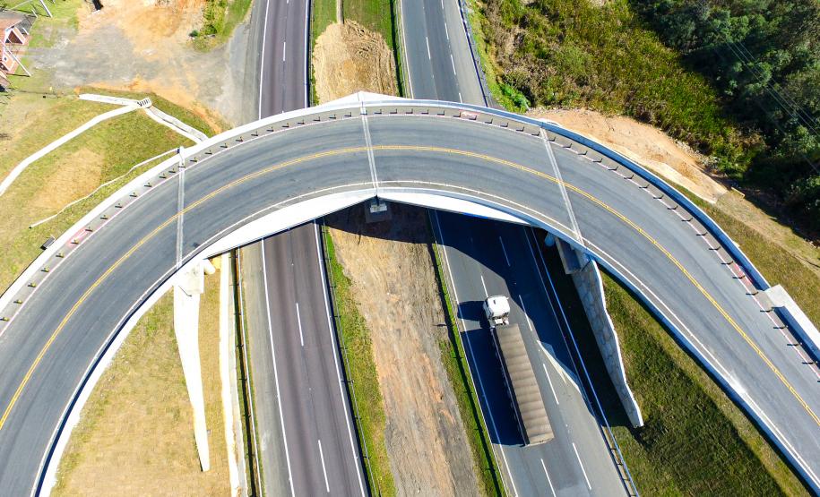 Nova interseção do Jardim Guarany, no km 104 da BR-277, em Campo Largo Foto: Rodrigo Félix Leal / InfraPR