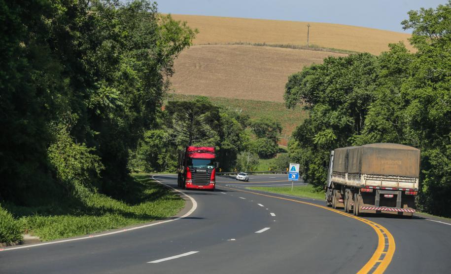 Foto: Geraldo Bubniak/AEN