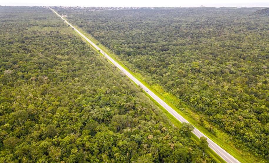 Consórcio de empresas vai elaborar estudos e levantamentos sobre a restauração e duplicação de trecho de 12,81 quilômetros da PR-412, incluindo um novo viaduto em Guaratuba - Foto: José Fernando Ogura/AEN