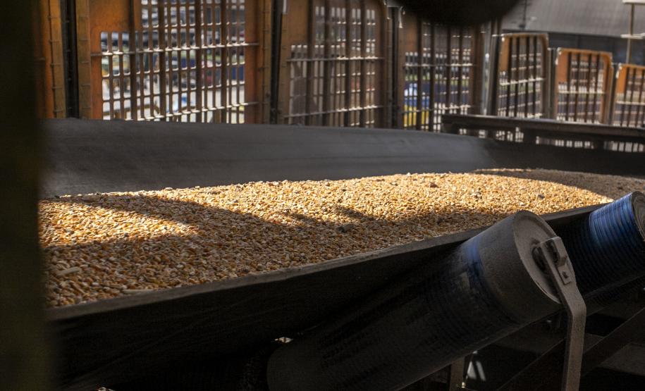 Os terminais que operam no Porto de Paranaguá esperam carregar 6.568.990 toneladas de granéis sólidos de exportação no segundo trimestre (abril a junho) deste ano. Em média, por mês, a previsão é embarcar 2.189.663 toneladas de soja, farelos, açúcar e milho. Os volumes de milho e açúcar aguardados para os próximos três meses animam o segmento. Enquanto de abril a junho, no ano passado, não houve milho exportado pelo porto paranaense, neste ano os operadores devem embarcar 980 mil toneladas do produto. “A e