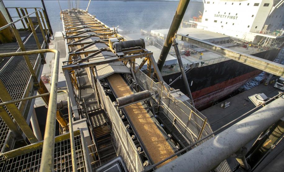 Exportação de milho a granel sobe 161% pelo Porto de Paranaguá Foto: Claudio Neves/Portos do Paraná