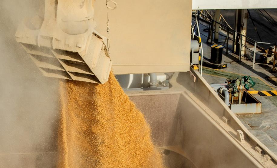 Exportação de milho a granel sobe 161% pelo Porto de Paranaguá Foto: Claudio Neves/Portos do Paraná