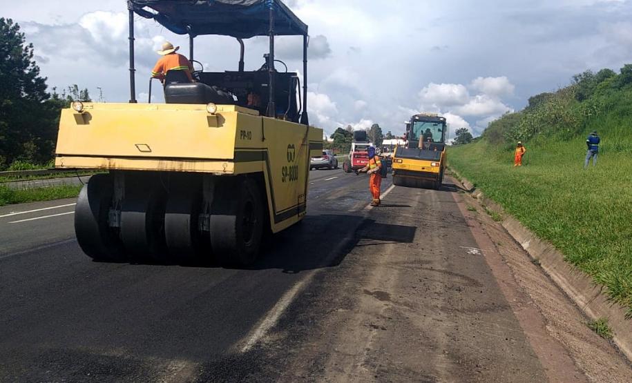 DER avança na licitação para conservar mais de mil km nos Campos Gerais e região central -  Foto: DER/PARANÁ