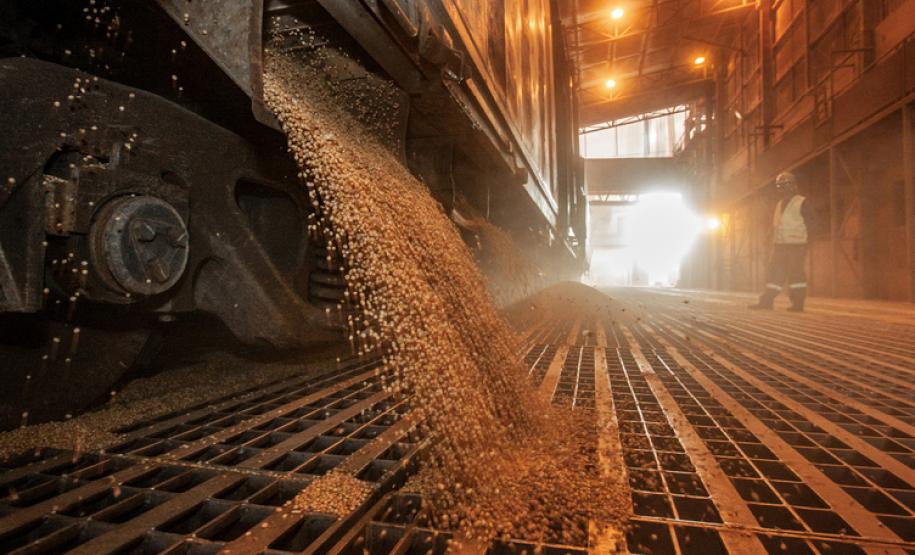 Aumenta transporte ferroviário de carga pelos portos paranaenses - Foto: Claudio Neves/Portos do Paraná