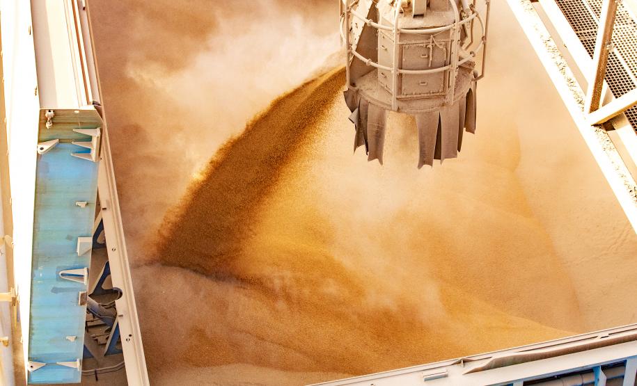 Portos de Paranaguá e Antonina registram alta de 5% nas exportações em 2022 Foto: Claudio Neves/Portos do Paraná