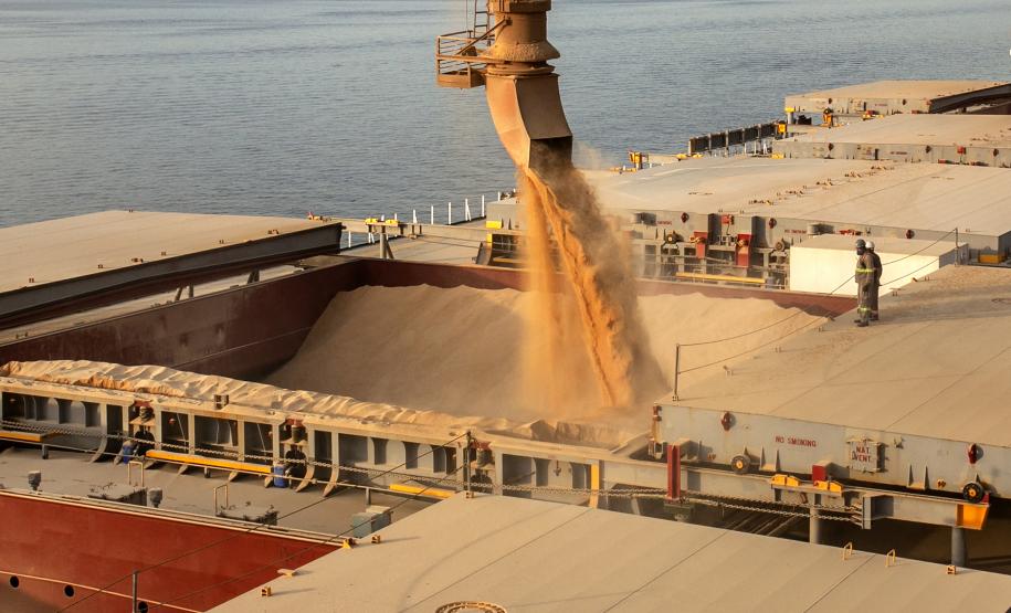 Portos de Paranaguá e Antonina registram alta de 5% nas exportações em 2022 Foto: Claudio Neves/Portos do Paraná