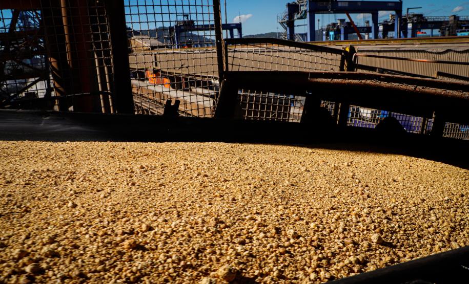 Porto de Paranaguá registra alta de 102% nas exportações pelo Corredor Leste - Foto: Rodrigo Félix Leal/SEIL