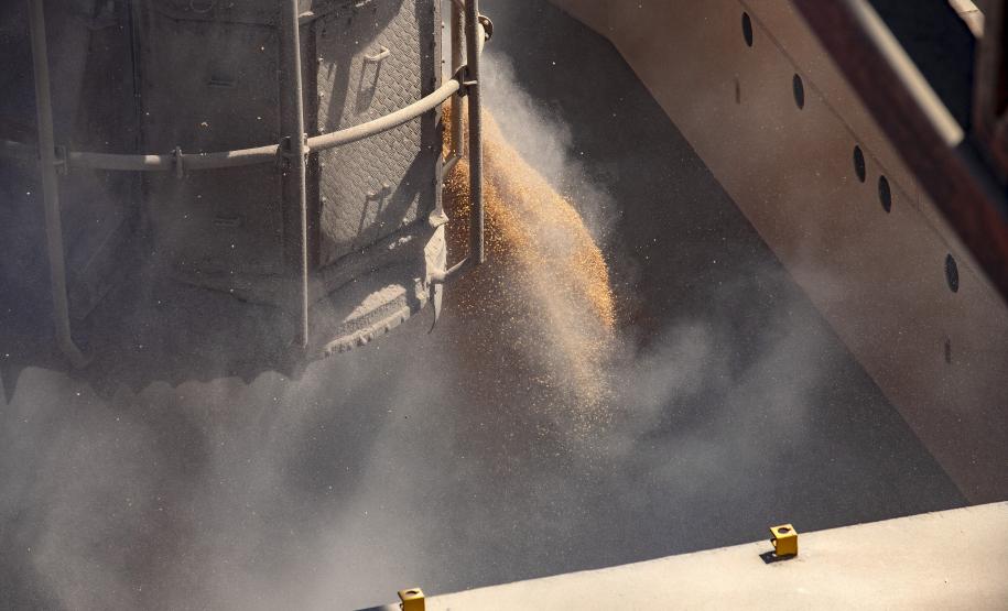 Movimentação de cargas nos portos do Paraná- Foto: Cláudio Neves/Portos dos Paraná