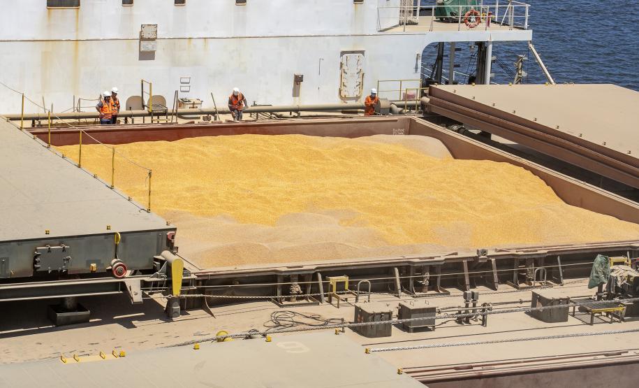 Volume de milho embarcado em janeiro em Paranaguá é 161% superior ao mesmo mês de 2022 Foto: Claudio Neves/Portos do Paraná