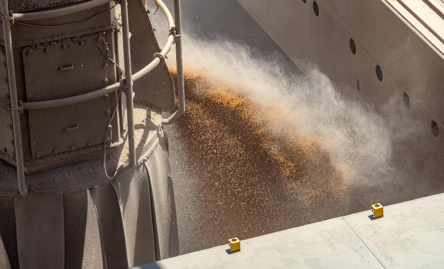 Volume de milho embarcado em janeiro em Paranaguá é 161% superior ao mesmo mês de 2022 Foto: Claudio Neves/Portos do Paraná