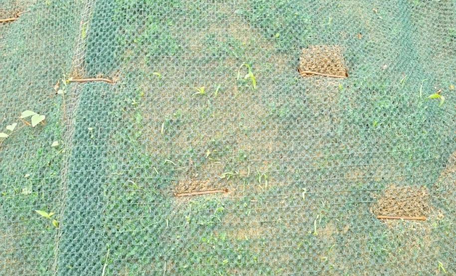 DER/PR chega à fase final das obras no km 41 da BR-277, no Litoral Foto: DER