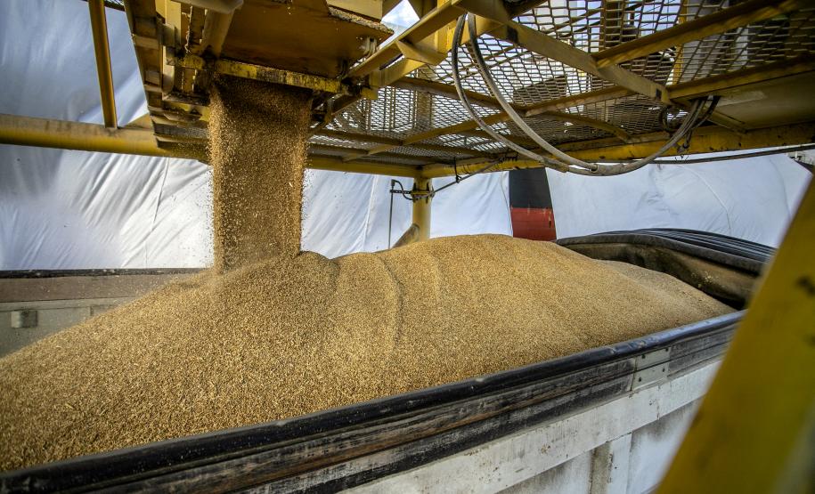 Porto de Paranaguá celebra 88 anos com foco no futuro Foto: Claudio Neves/Portos do Paraná