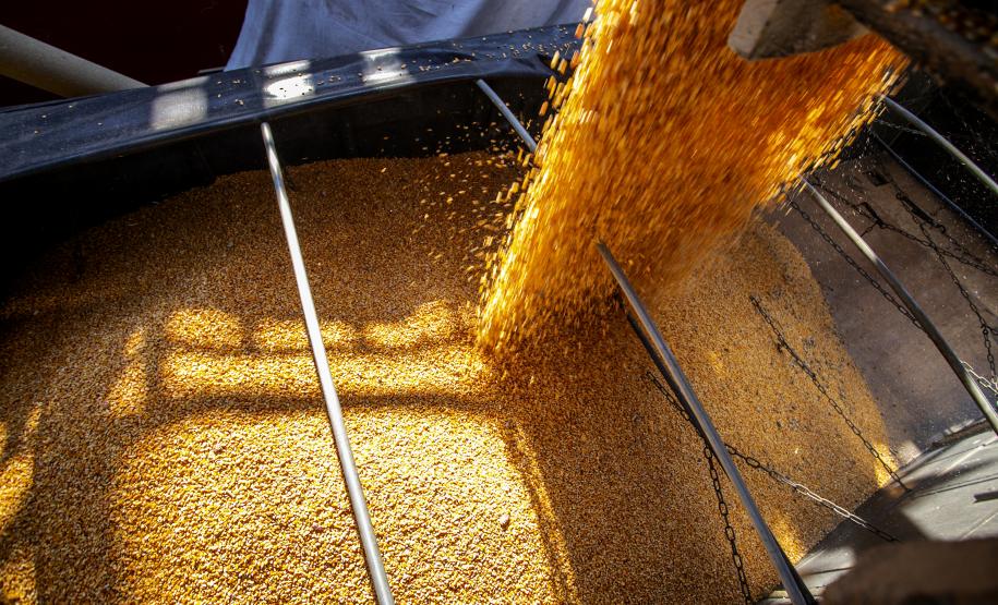 Porto de Paranaguá celebra 88 anos com foco no futuro Foto: Claudio Neves/Portos do Paraná