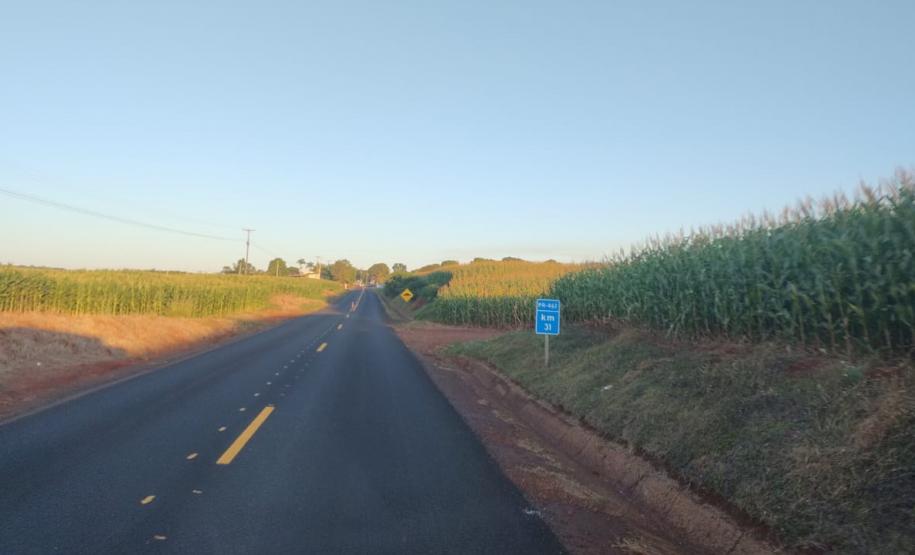 Conservação PR-461 Foto: DER