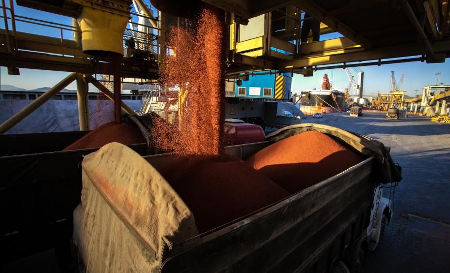 A descarga de fertilizantes nos portos paranaenses aumentou nos últimos dois meses. Foto: Cláudio Neves / Portos do Paraná