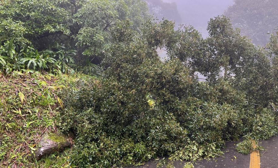 Estrada da Graciosa é bloqueada após deslizamento de terra no km 11 Foto: DER-PR