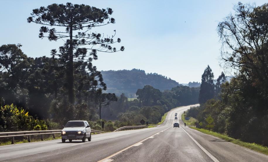 Lote 1 da nova concessão vai a leilão nesta sexta; entenda como será a disputa. Guamiranga Foto: Roberto Dziura Jr/AEN